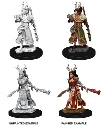 D&D NMU: Human Druid - Female