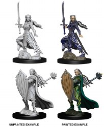 D&D NMU: Elf Paladin - Female