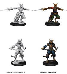 D&D NMU: Tabaxi Rogue - Female