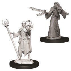 D&D NMU: Elf Wizard - Male