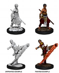 D&D NMU: Half-Elf Monk - Male
