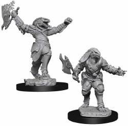 D&D NMU: Dragonborn Fighter - Female