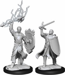 D&D NMU: Half-Elf Paladin - Male