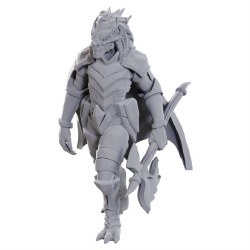 D&D: NMU: Dragonborn of Tiamat