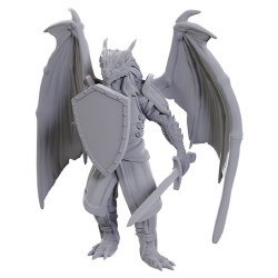 D&D: NMU: Dragonborn of Bahamut