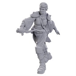 D&D: NMU: Swashbuckler