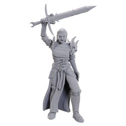 D&D: NMU: Blackguard