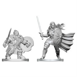 D&D: NMU: Dwarf Fighter & Orc Paladin