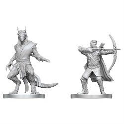 D&D: NMU: Elf Ranger & Dragonborn Monk