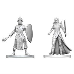 D&D: NMU: Black Gauntlet & Zhentilar Pal