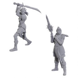 D&D: Baldur's Gate 3: Lae'zel & Shadowheart