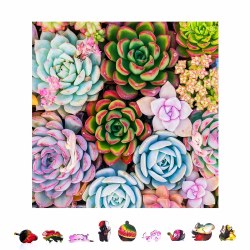 Shaped: Succulent Sensation 500pc Wooden Puzzle