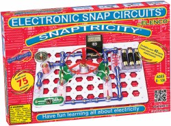 Snaptricity ®