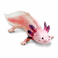 Axolotl Toy Figure