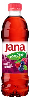 Jana Forest Fruit and Cranberry Flavored Ice Tea 500ml