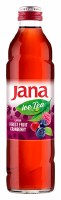 Jana Forest Fruit and Cranberry Flavored Ice Tea Glass Bottle 330ml