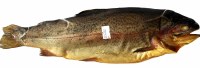 Oasis Hot Smoked Rainbow Trout Approx. 1 lb PLU 117 F