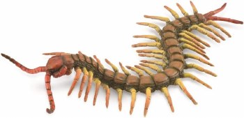 COLLECTA CENTEPEDE