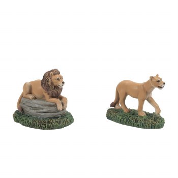 D56 ZOOLOGICAL LIONS SET/2