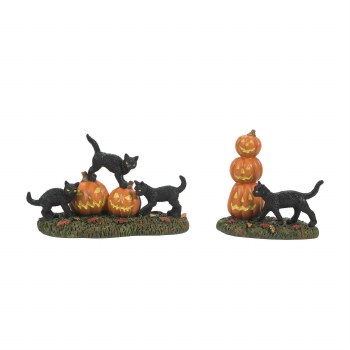 D56 SCARY CATS &amp; PUMPKINS