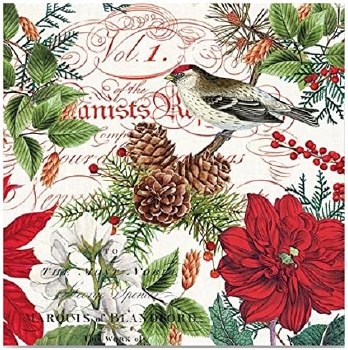 MICHEL &amp; CO COCKTAIL NAPKINS MERRY/BRIGH