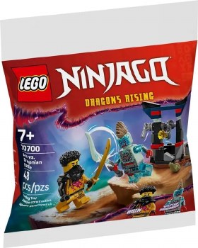 LEGO #30700 ARIN VS DRAGONIAN BATTLE