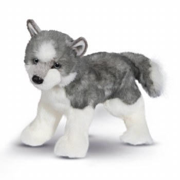 DOUGLAS SASHA HUSKY