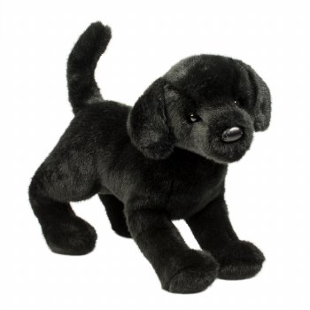 DOUGLAS CHESTER BLACK LAB