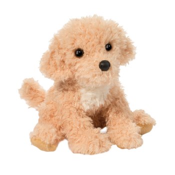 DOUGLAS NOODLE GOLDENDOODLE