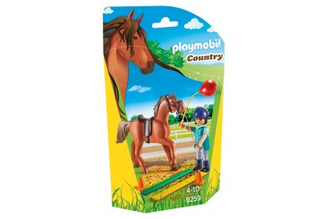 PLAYMOBIL HORSE THERAPIST