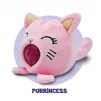 PBJ'S PURRINCESS CAT