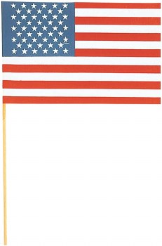 AMERICAN FLAG 6&quot; x 9&quot; PLASTIC