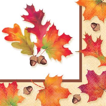 AMSCAN 16CT NAPKINS AUTUMN DAYS