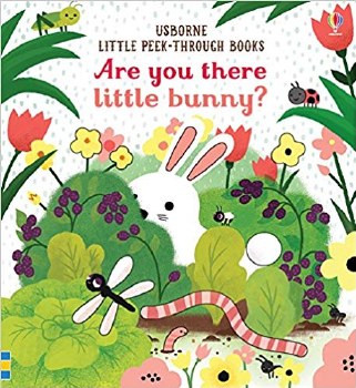 ARE YOU THERE LITTLE BUNNY BOOK