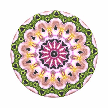 POP SOCKET ORCHID MANDALA