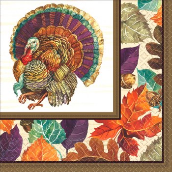 TRADITIONAL TURKEY BEVERAGE NAPKINS 16C