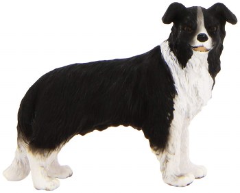 COLLECTA BORDER COLLIE