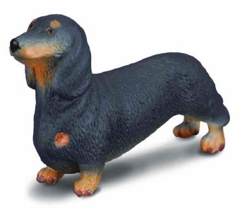 COLLECTA DACHSHUND