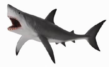COLLECTA GREAT WHITE SHARK