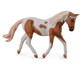 COLLECTA  PALOMINO PINTO MARE