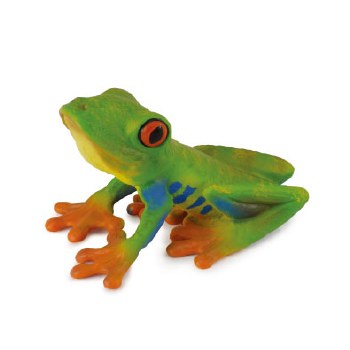 COLLECTA RED-EYED TREE FROG