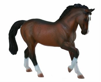 COLLECTA  WARMBLOOD BAY STALLION