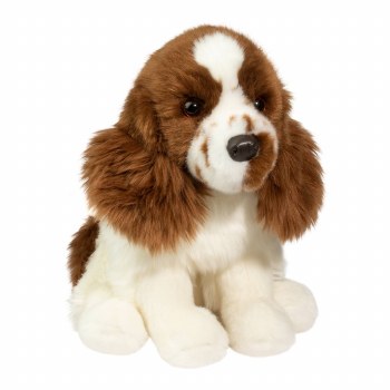 DOUGLAS CHIP SPRINGER SPANIEL