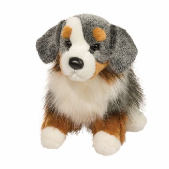 DOUGLAS SINCLAIR AUSTRALIAN SHEPHERD