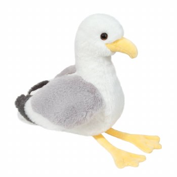 DOUGLAS STEWIE SEAGULL