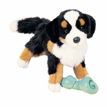 DOUGLAS TREVOR BERNESE MOUNTAIN DOG