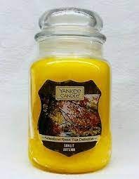 YANKEE LG CLASSIC JAR SUNLIT AUTUMN