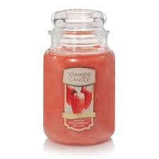 YANKEE LARGE JAR WHITE STRAWBERRY BELINI