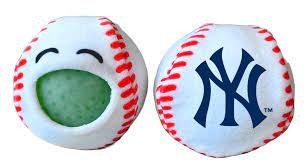 PBJ'S NY YANKEES