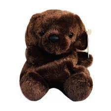 PALM PALS SIENNA CHOCOLATE LAB
